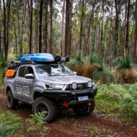 OFFROAD ANIMAL PREDATOR BULL BAR - TOYOTA HILUX N80 2020 (MY21)+